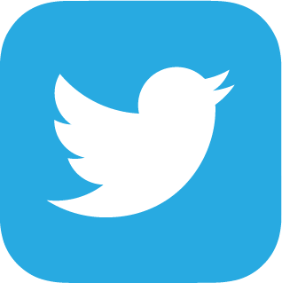 twitter-social