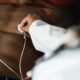 5 Essential Tips for New Ostomy Patients Adjusting with Ease