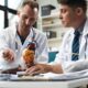 How Cardiology Practices Can Reduce Administrative Burden